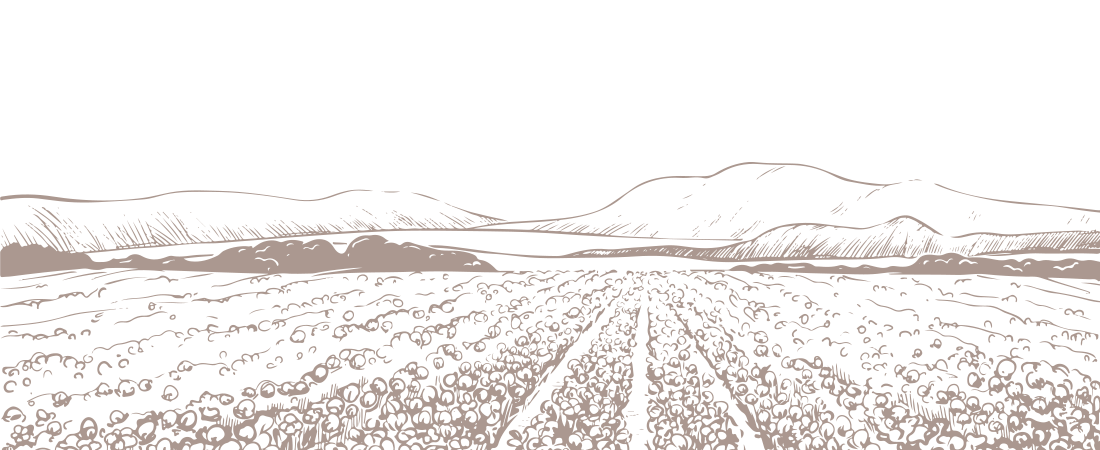background-texture